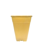 Pack Maceta Cuadrada Dorada 18L x10un