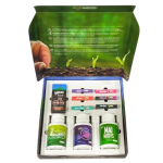 Starter Pack (10 Productos) Micotrue