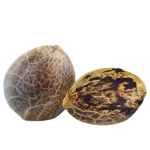 Banana Xl Auto - Imagen 2