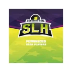 Super Lemon Haze X12 - Bsf - Imagen 3