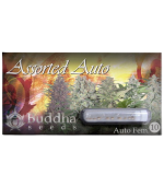 Assorted Auto x10 - Buddha Seeds - Imagen 2