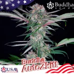 Zkitt Auto 3+1 - Buddha Seeds